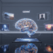 Google Gemini Photo-Editing: 6 Prompts for Professional Results